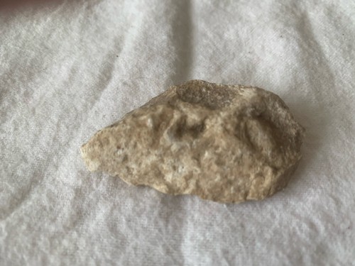Dinosaur bone fragment - dinosaur, £4