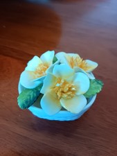 coalport fine bone china
