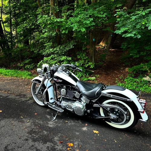 2006 harley davidson - harley-davidson, flstni