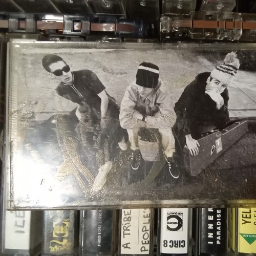 Beastie boys check your - beastie, –