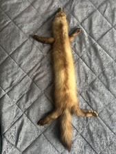 Vintage Beige 100% real Sable