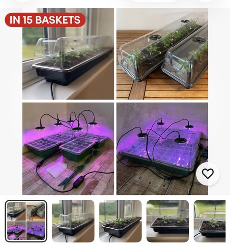 Heated propagator jumbo - heated,