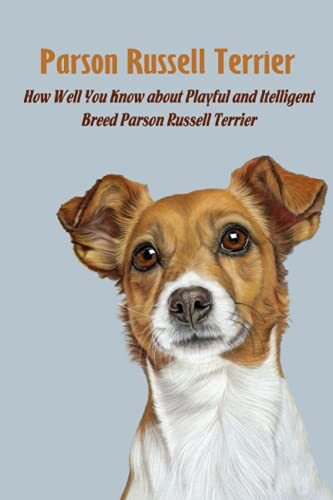 Parson russell terrier - russell, how