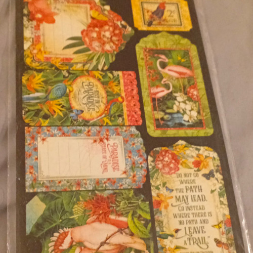 Graphic paradise collection - 45,