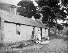 Shepherd's Hut Rostrevor Co