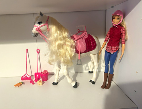 Barbie life the - in,