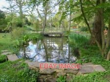 PHOTO  JAPANESE GARDEN TRENT