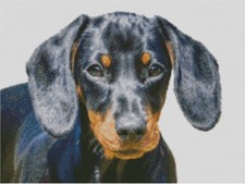 Cross Stitch Pattern