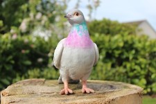 Vivid Arts Highly Detailed