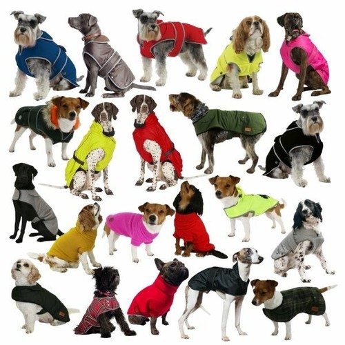Ancol dog coat stormguard all - ancol,