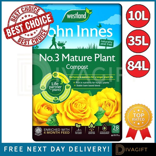 Westland mature plant - no.3,