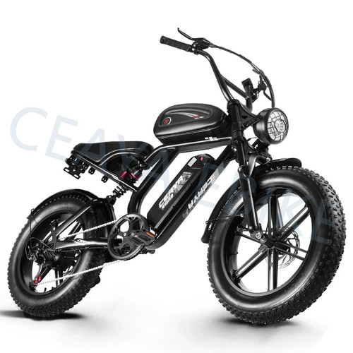 Electric bike for adults - electric,