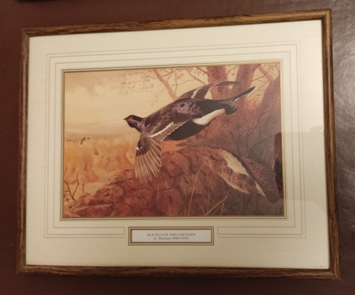 Archibald thorburn print - thorburn,
