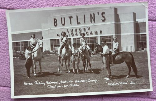 Postcard horse riding - riding,