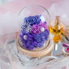 Glass Display Dome Bell Jar