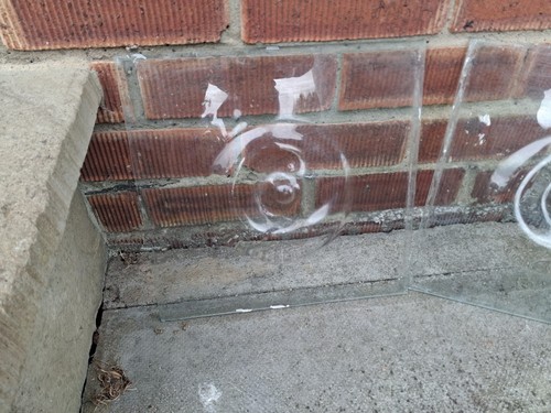 Large clear bullion bulls - bullion, eye