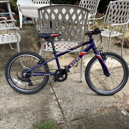 Wiggins chartres - wiggins, 20"