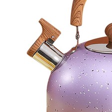 Stainless Steel Kettle 2L