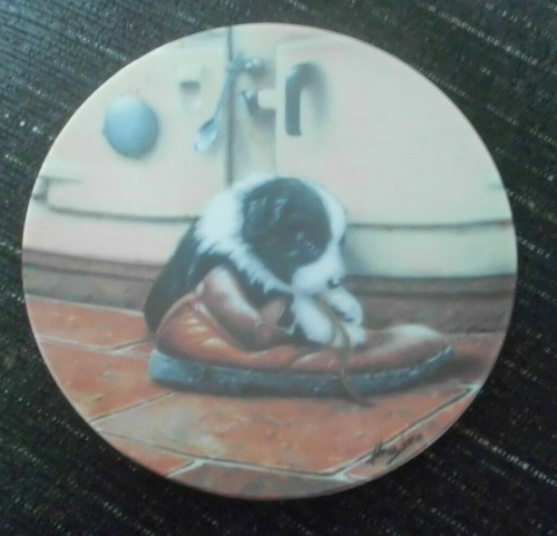 Border collie dog plate little - border,