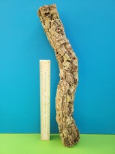 CORK BARK BRANCH 48CM SNAKE