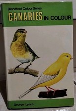 Canaries In Colour by George