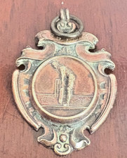 Cricket Badge Cricketer Shield