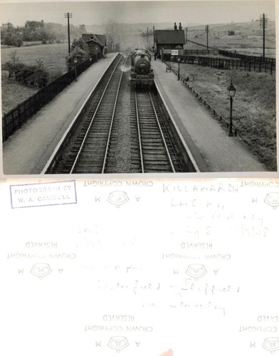 Vintage photograph - photograph,