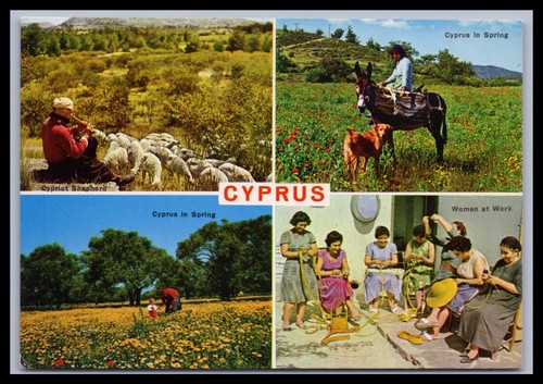 Postcard cyprus - postcard,