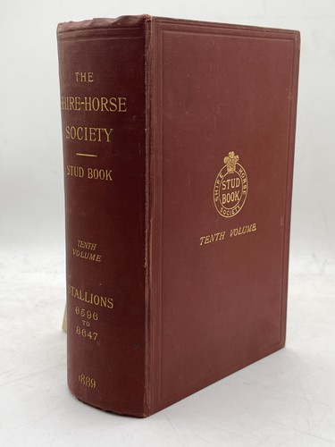 Shire horse society stud - horse,