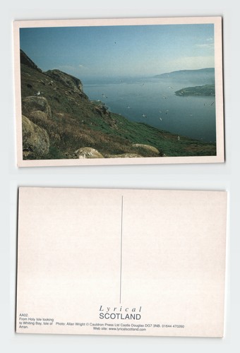 Vintage postcard holy isle - vintage,