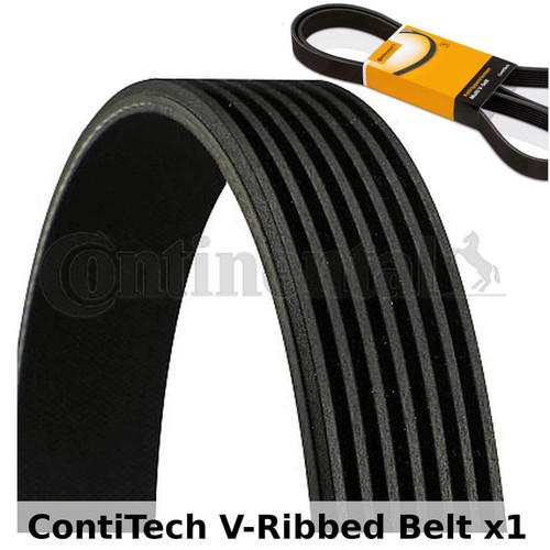 Contitech ribbed belt - contitech, v-ribbed