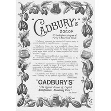 CADBURY'S COCOA Leaf Border Victorian Advertisement 1895