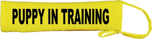 Puppy training dog - in,