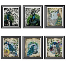 Peacock Collection Art Prints