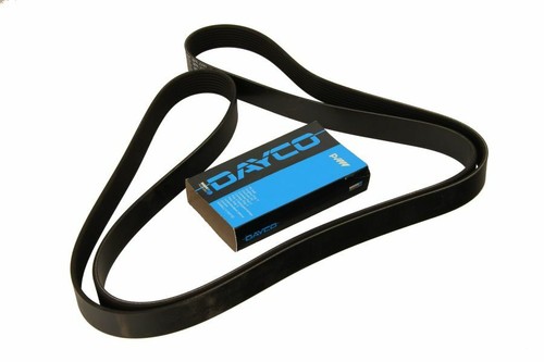 Dayco day8pk1275hd ribbed - day8pk1275hd, v-ribbed