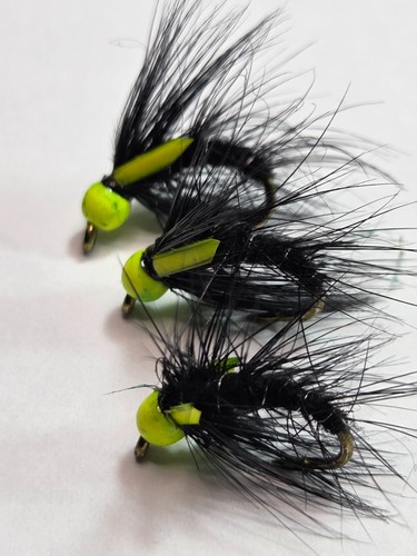 Snatcher fly fishing trout - 3, x