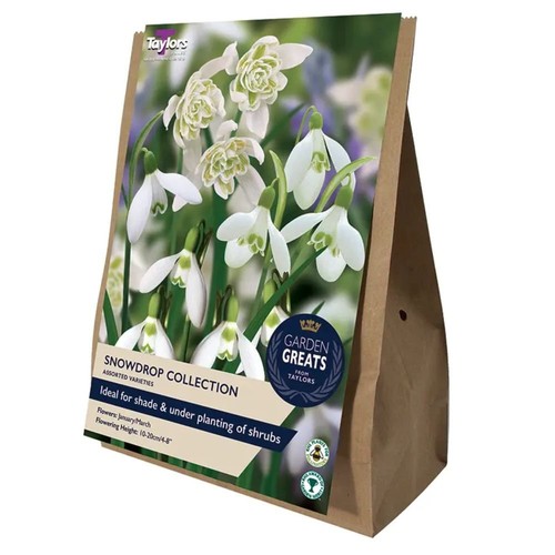 Taylors snowdrop collection - taylors,