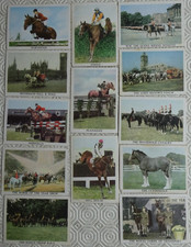 13 x Anglo American Chewing Gum `The Horse` cards (1966)