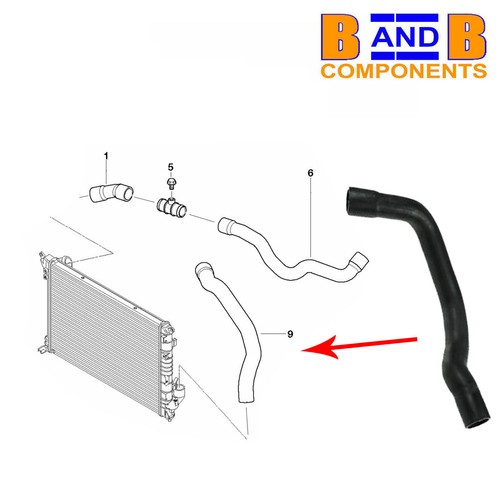 Radiator lower water hose pipe - hose,
