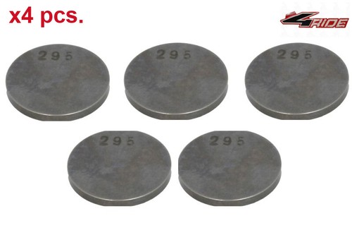 Valve plate 29mm 95mm - valve, (5