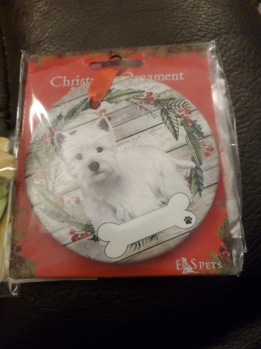 Westie white dog - white, pup