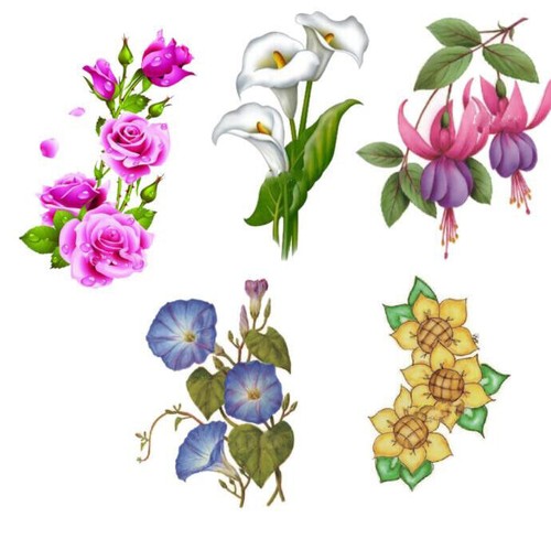 Flowers metal cutting - cutting, dies