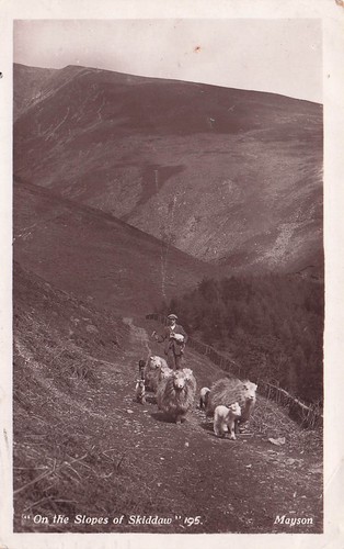 Vintage rppc postcard - rppc, skiddaw