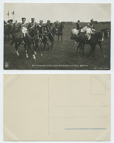 116145 the crown prince - 116145,