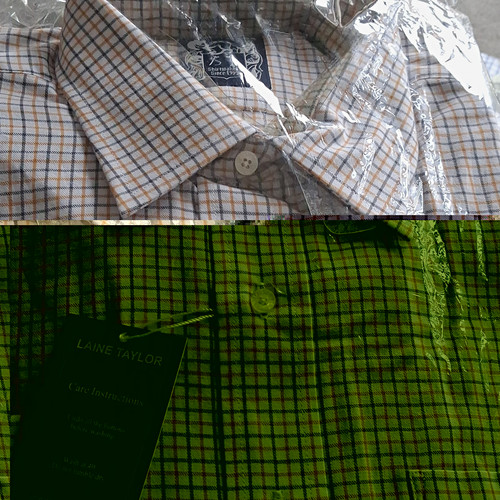 Laine taylor men check - laine,