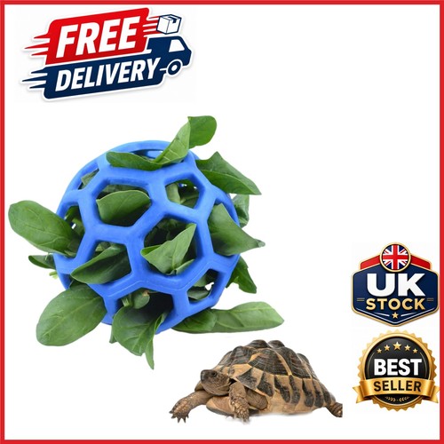 Tortoise turtle foraging toy - tortoise,