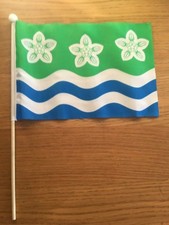 KENT Pack of 12 medium Hand