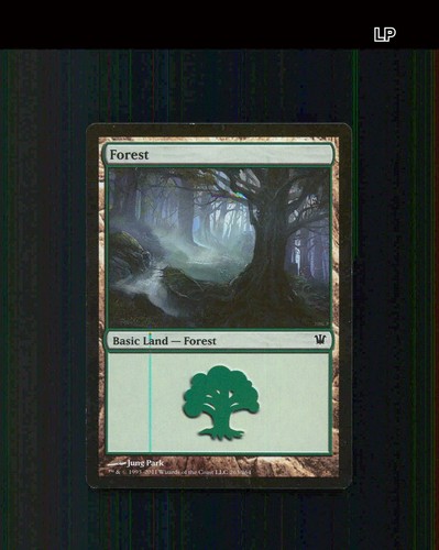 Forest 263 isd en - 263,