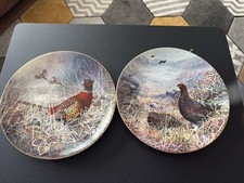 2x Beautiful Plates