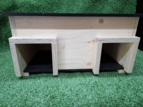 Hedgehog feeding station - feeding, station/